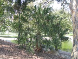 post-208-099382500 1312775690_thumb.jpg