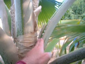post-208-1197244439_thumb.jpg