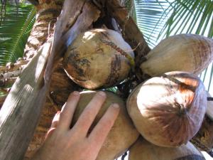 post-208-1201151750_thumb.jpg