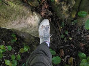 post-208-1201152637_thumb.jpg