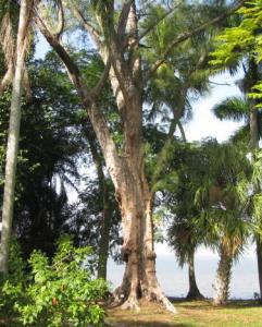 post-208-1201153345_thumb.jpg