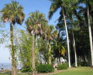 post-208-1201153516_thumb.jpg