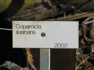 post-208-1202434037_thumb.jpg