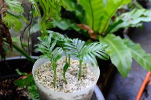 post-2085-0-17695800-1368899274_thumb.jp