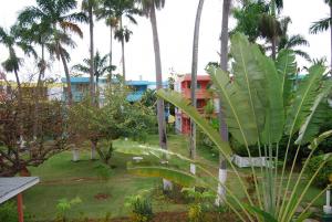 post-213-023293200 1327059157_thumb.jpg