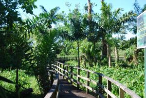 post-213-041989300 1327016996_thumb.jpg