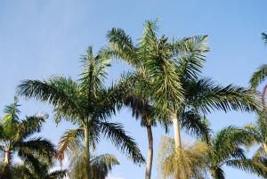 post-213-069223400 1327059141_thumb.jpg