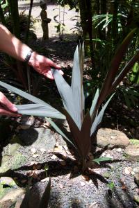 post-216-036672400 1340073497_thumb.jpg