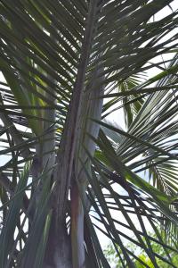 post-216-039833800 1339908922_thumb.jpg