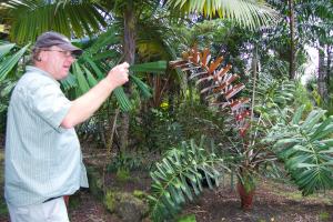 post-216-073162000 1339908728_thumb.jpg