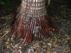 post-22-007773700 1326672703_thumb.jpg