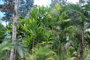 post-22-010396600 1340048460_thumb.jpg