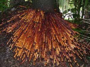 post-22-016420200 1326672709_thumb.jpg