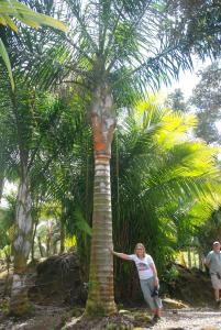 post-22-016959800 1339980402_thumb.jpg