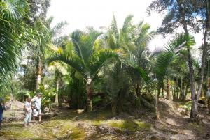 post-22-023017800 1339980279_thumb.jpg