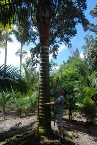 post-22-025772200 1339980388_thumb.jpg