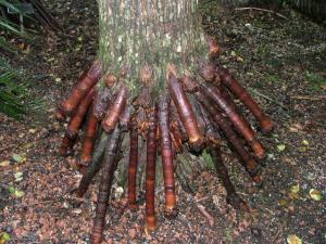 post-22-031319900 1326672705_thumb.jpg