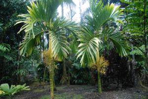 post-22-038203500 1339880408_thumb.jpg