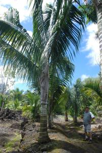 post-22-044376300 1340047903_thumb.jpg