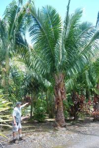 post-22-045609900 1339879270_thumb.jpg