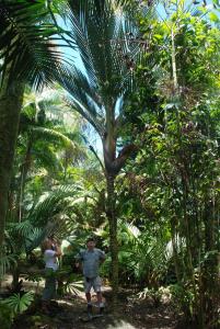 post-22-047888200 1339879483_thumb.jpg