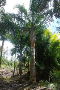 post-22-061368000 1339980395_thumb.jpg