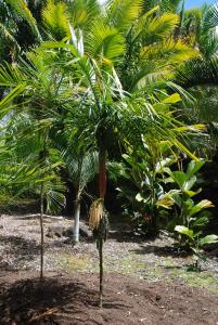 post-22-061539900 1340047698_thumb.jpg