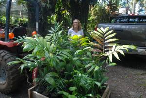 post-22-062046800 1340048908_thumb.jpg