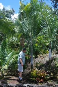 post-22-073649900 1339878955_thumb.jpg