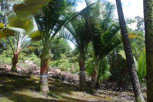 post-22-086724500 1339978625_thumb.jpg