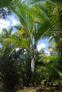 post-22-093580200 1339979666_thumb.jpg