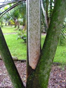 post-22-1152497171_thumb.jpg