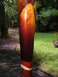 post-22-1179955677_thumb.jpg