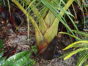 post-23-002581900 1337212161_thumb.jpg