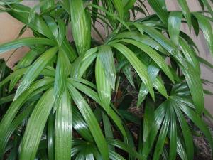 post-23-002999800 1337387950_thumb.jpg