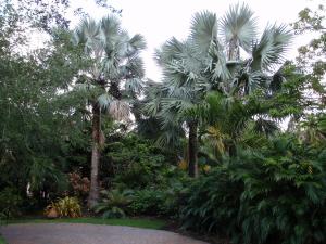 post-23-004532600 1337388234_thumb.jpg