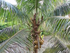 post-23-005484900 1337387604_thumb.jpg