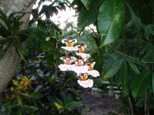 post-23-006832300 1337388701_thumb.jpg