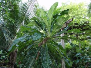 post-23-006891800 1337388722_thumb.jpg