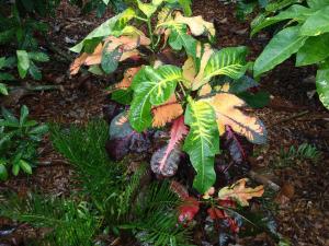 post-23-016310900 1336089863_thumb.jpg