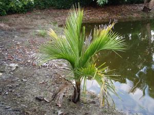 post-23-036597100 1337215970_thumb.jpg