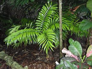 post-23-040928000 1337388855_thumb.jpg