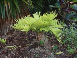 post-23-043236000 1337387977_thumb.jpg