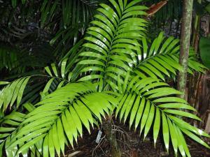 post-23-044394200 1337388836_thumb.jpg