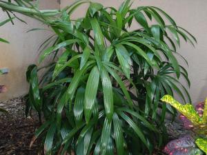 post-23-048741700 1337387931_thumb.jpg