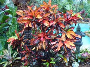 post-23-049463800 1336089828_thumb.jpg