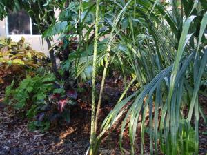 post-23-050206200 1337215643_thumb.jpg