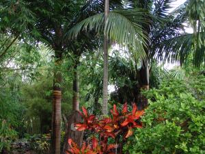 post-23-088644500 1337212242_thumb.jpg