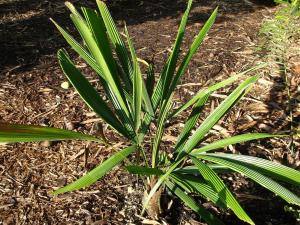 post-23-088783700 1337211866_thumb.jpg