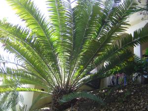 post-27-032534800 1311659338_thumb.jpg